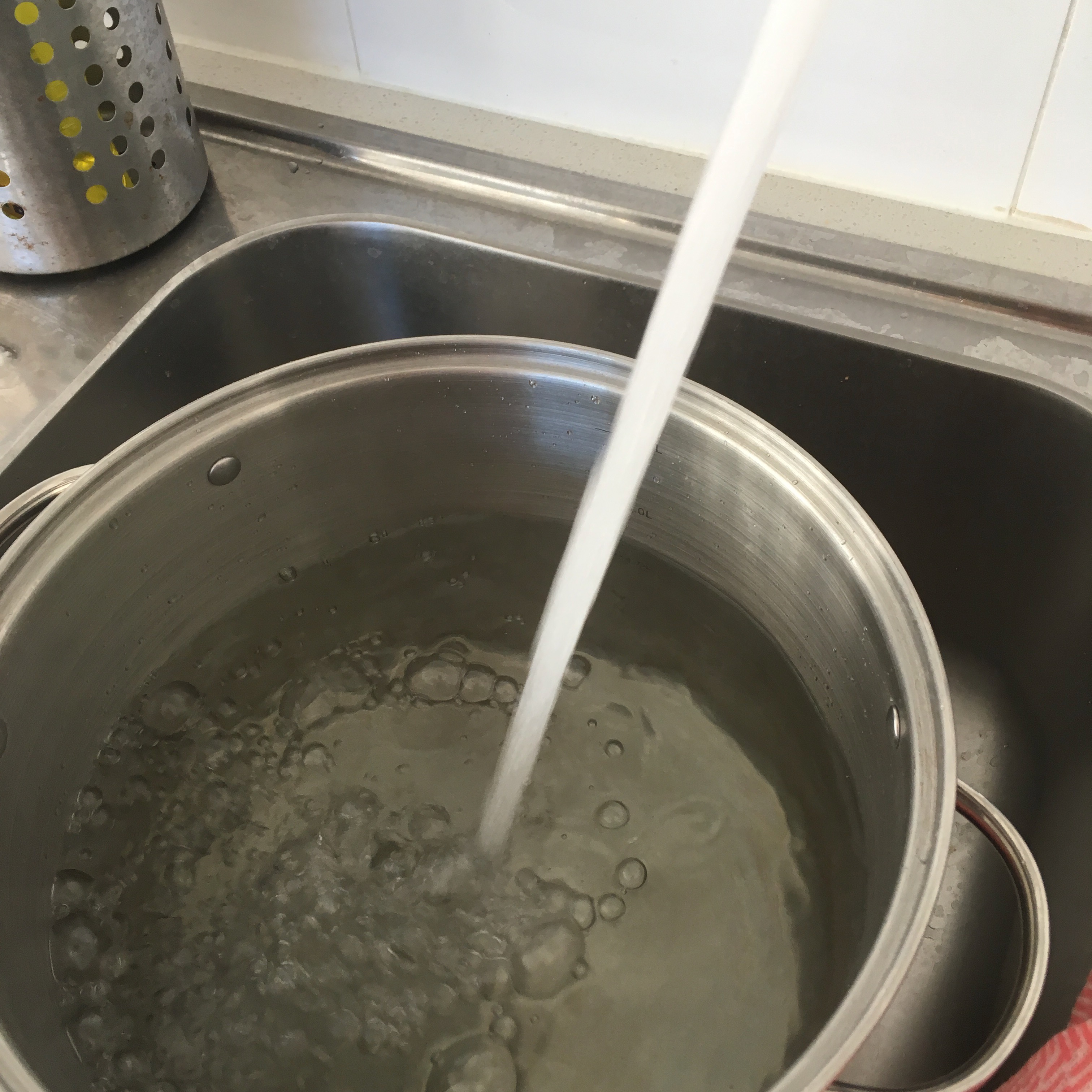 Fill a pot with 6.5 L of tap water
